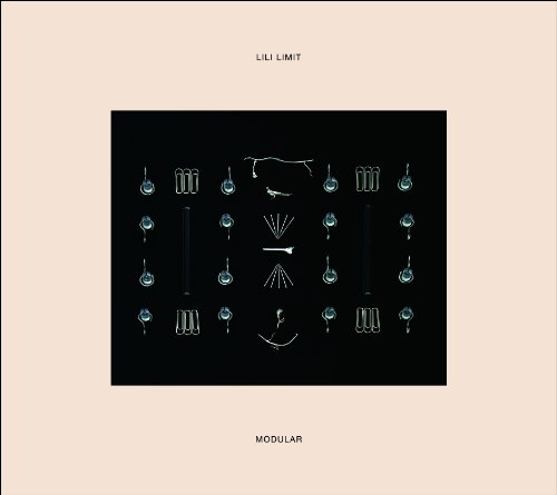 LILI LIMIT、12月のライヴをもって解散。ラスト・ワンマン